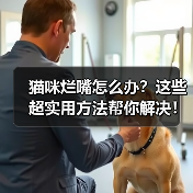 猫咪烂嘴怎么办?这些超实用方法帮你解决!(图2) 猫咪烂嘴怎么办?这些超实用方法帮你解决!(图2)