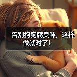 告别狗狗腐臭味，这样做就对了！
