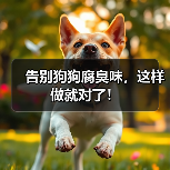 告别狗狗腐臭味,这样做就对了!(图3) 告别狗狗腐臭味,这样做就对了!(图3)