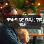 ‌泰迪犬嘴巴很臭的原因探析（图4）