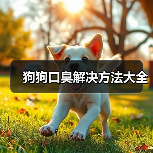狗狗口臭解决方法大全