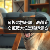 延长宠物寿命:高龄狗心脏肥大总是咳嗽怎么办?(图3) 延长宠物寿命:高龄狗心脏肥大总是咳嗽怎么办?(图3)
