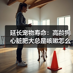 延长宠物寿命:高龄狗心脏肥大总是咳嗽怎么办?(图2) 延长宠物寿命:高龄狗心脏肥大总是咳嗽怎么办?(图2)