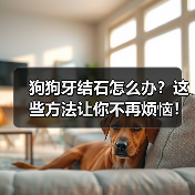 狗狗牙结石怎么办？这些方法让你不再烦恼！（图3）