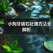 小狗牙结石处理方法全解析(图3) 小狗牙结石处理方法全解析(图3)