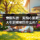 宠医科普：狗狗心脏肥大引起咳嗽吃什么药？（图4）