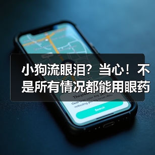 小狗流眼泪？当心！不是所有情况都能用眼药水解决（图3）