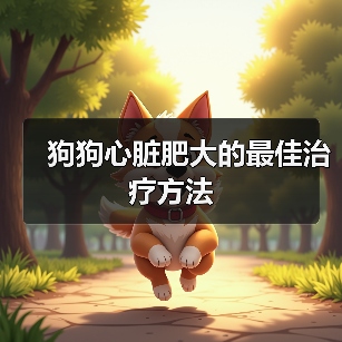 狗狗心脏肥大的最佳治疗方法（图4）