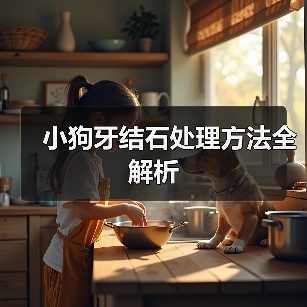 小狗牙结石处理方法全解析