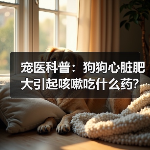 宠医科普：狗狗心脏肥大引起咳嗽吃什么药？