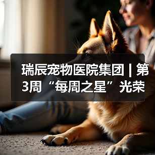 瑞辰宠物医院集团 | 第3周“每周之星”光荣榜(图3) 瑞辰宠物医院集团 | 第3周“每周之星”光荣榜(图3)