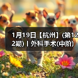 1月19日【杭州】(第122期)丨外科手术(中阶)实战班,2人/组提供一猫一狗,实操超多!(图2) 1月19日【杭州】(第122期)丨外科手术(中阶)实战班,2人/组提供一猫一狗,实操超多!(图2)