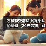 怎样有效清除小猫身上的跳蚤（20天养猫，跳蚤不再困扰/跳蚤侵扰小猫，该怎么办？）
