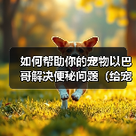 如何帮助你的宠物以巴哥解决便秘问题(给宠物以巴哥提供更健康的生活方式)(图2) 如何帮助你的宠物以巴哥解决便秘问题(给宠物以巴哥提供更健康的生活方式)(图2)