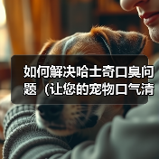 如何解决哈士奇口臭问题(让您的宠物口气清新自然)(图2) 如何解决哈士奇口臭问题(让您的宠物口气清新自然)(图2)