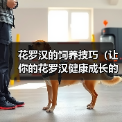花罗汉的饲养技巧(让你的花罗汉健康成长的实用指南)(图2) 花罗汉的饲养技巧(让你的花罗汉健康成长的实用指南)(图2)