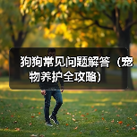 狗狗常见问题解答(宠物养护全攻略)(图2) 狗狗常见问题解答(宠物养护全攻略)(图2)
