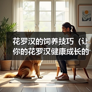 花罗汉的饲养技巧(让你的花罗汉健康成长的实用指南)(图4) 花罗汉的饲养技巧(让你的花罗汉健康成长的实用指南)(图4)