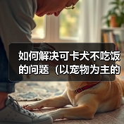 如何解决可卡犬不吃饭的问题(以宠物为主的专业建议,快速让你的可卡犬恢复食欲)(图4) 如何解决可卡犬不吃饭的问题(以宠物为主的专业建议,快速让你的可卡犬恢复食欲)(图4)