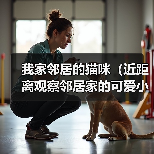 我家邻居的猫咪（近距离观察邻居家的可爱小猫，惊奇发现……）（图4）