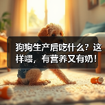 狗狗生产后吃什么？这样喂，有营养又有奶！（图4）