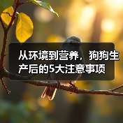 从环境到营养,狗狗生产后的5大注意事项(图3) 从环境到营养,狗狗生产后的5大注意事项(图3)