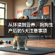 从环境到营养,狗狗生产后的5大注意事项(图2) 从环境到营养,狗狗生产后的5大注意事项(图2)