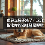 猫鼻支鼻子堵了？这几招让你的猫咪轻松呼吸！（图3）