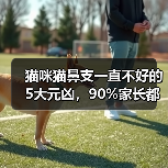 猫咪猫鼻支一直不好的5大元凶,90%家长都忽视了(图4) 猫咪猫鼻支一直不好的5大元凶,90%家长都忽视了(图4)