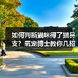 如何判断猫咪得了猫鼻支？氧宠博士教你几招（图4）