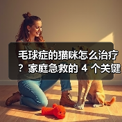 毛球症的猫咪怎么治疗?家庭急救的 4 个关键步骤(图2) 毛球症的猫咪怎么治疗?家庭急救的 4 个关键步骤(图2)