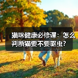 猫咪健康必修课：怎么判断猫要不要驱虫？