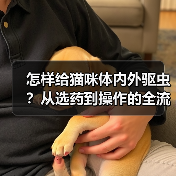 怎样给猫咪体内外驱虫？从选药到操作的全流程指南（图4）