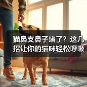 猫鼻支鼻子堵了？这几招让你的猫咪轻松呼吸！（图2）