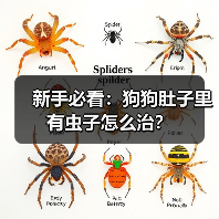 新手必看:狗狗肚子里有虫子怎么治?(图2) 新手必看:狗狗肚子里有虫子怎么治?(图2)