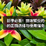 新手必看！猫咪驱虫药的正确选择与使用指南（图3）