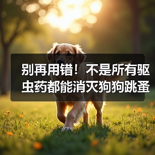 别再用错！不是所有驱虫药都能消灭狗狗跳蚤！（图4）