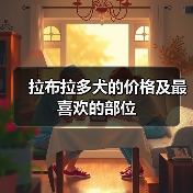 拉布拉多犬的价格及最喜欢的部位(图3) 拉布拉多犬的价格及最喜欢的部位(图3)