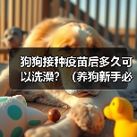 狗狗接种疫苗后多久可以洗澡？（养狗新手必知，打完针后的洗澡时间安排！）（图3）