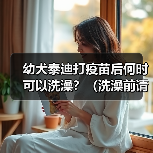 幼犬泰迪打疫苗后何时可以洗澡?(洗澡前请留意这些关键信息)(图4) 幼犬泰迪打疫苗后何时可以洗澡?(洗澡前请留意这些关键信息)(图4)