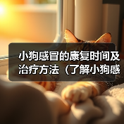小狗感冒的康复时间及治疗方法(了解小狗感冒的症状与治愈时间,保护你的毛小孩)(图3) 小狗感冒的康复时间及治疗方法(了解小狗感冒的症状与治愈时间,保护你的毛小孩)(图3)