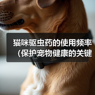 猫咪驱虫药的使用频率(保护宠物健康的关键措施)(图4) 猫咪驱虫药的使用频率(保护宠物健康的关键措施)(图4)