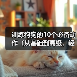 训练狗狗的10个必备动作（从基础到高级，轻松教会你的爱犬）