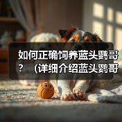 如何正确饲养蓝头鹦哥?(详细介绍蓝头鹦哥的生活习性和健康管理方法)(图2) 如何正确饲养蓝头鹦哥?(详细介绍蓝头鹦哥的生活习性和健康管理方法)(图2)