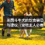 英国斗牛犬的饮食禁忌与建议（宠物主人必看，了解英国斗牛犬的饮食营养需求）（图3）