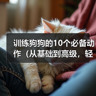 训练狗狗的10个必备动作（从基础到高级，轻松教会你的爱犬）（图3）