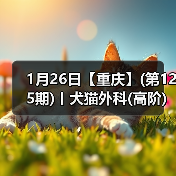 1月26日【重庆】(第125期)丨犬猫外科(高阶)班！含SUB(人人可实操)、乳糜胸等技术！