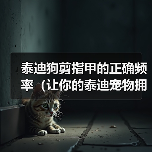 泰迪狗剪指甲的正确频率（让你的泰迪宠物拥有健康的爪子）