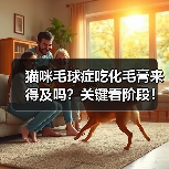 猫咪毛球症吃化毛膏来得及吗？关键看阶段！