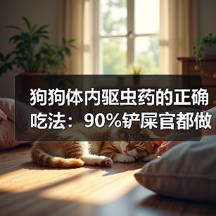 狗狗体内驱虫药的正确吃法：90%铲屎官都做错了！（图3）
